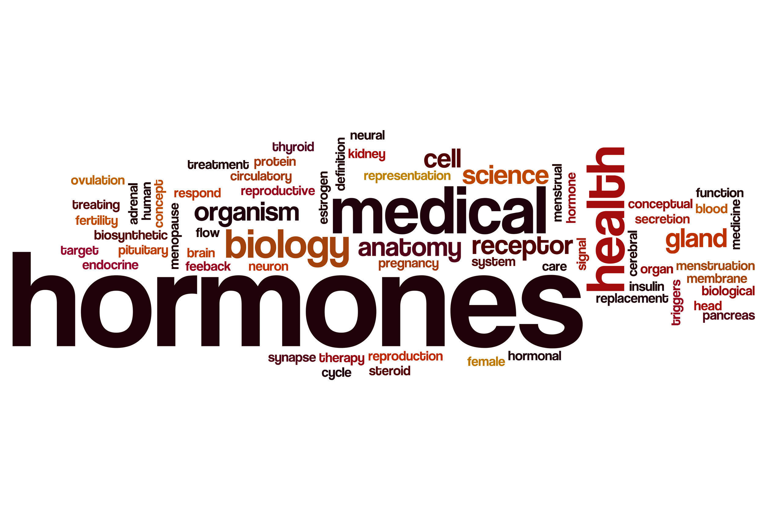 Hormone Health image 