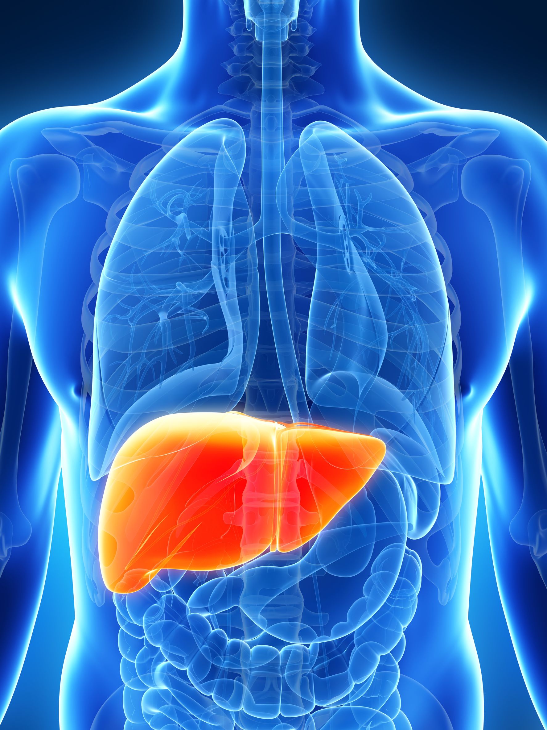 Liver image 