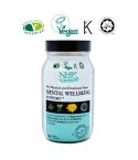 Mental Wellbeing Support