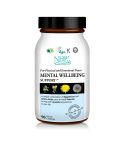 Mental Wellbeing Support
