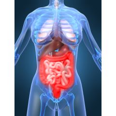 Digestive Stool Test by Post